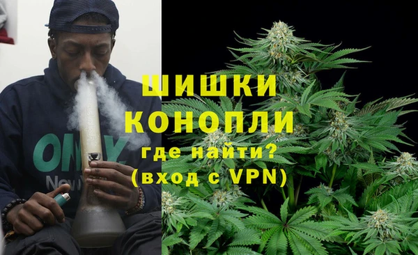 spice Верея