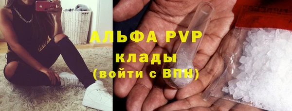 spice Верея
