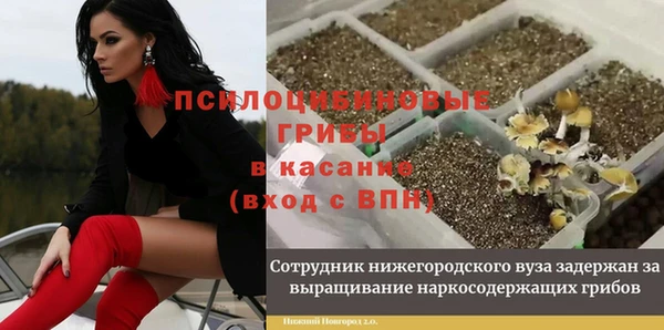 spice Верея