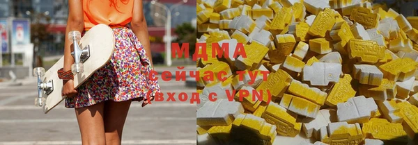 индика Волоколамск
