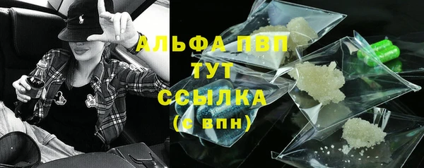 индика Волоколамск