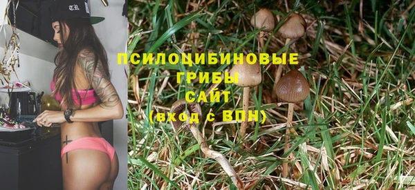 бутират Верхний Тагил