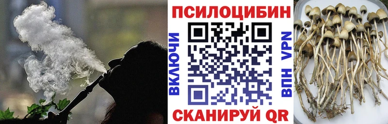 Псилоцибиновые грибы мухоморы Данков